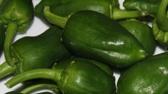 Pemento de Mougán